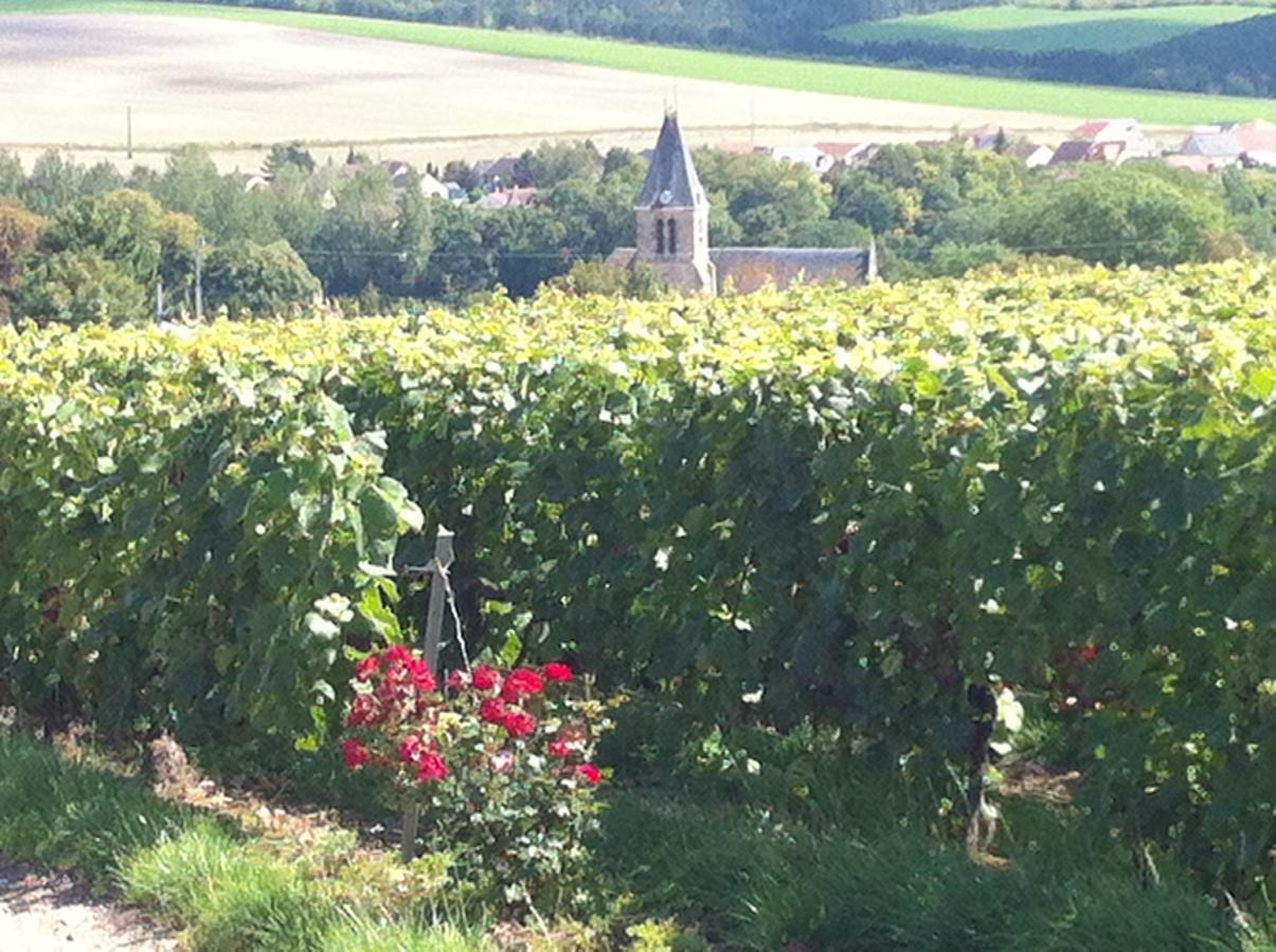 Manoir De Montflambert Bed and Breakfast Mutigny Exteriör bild